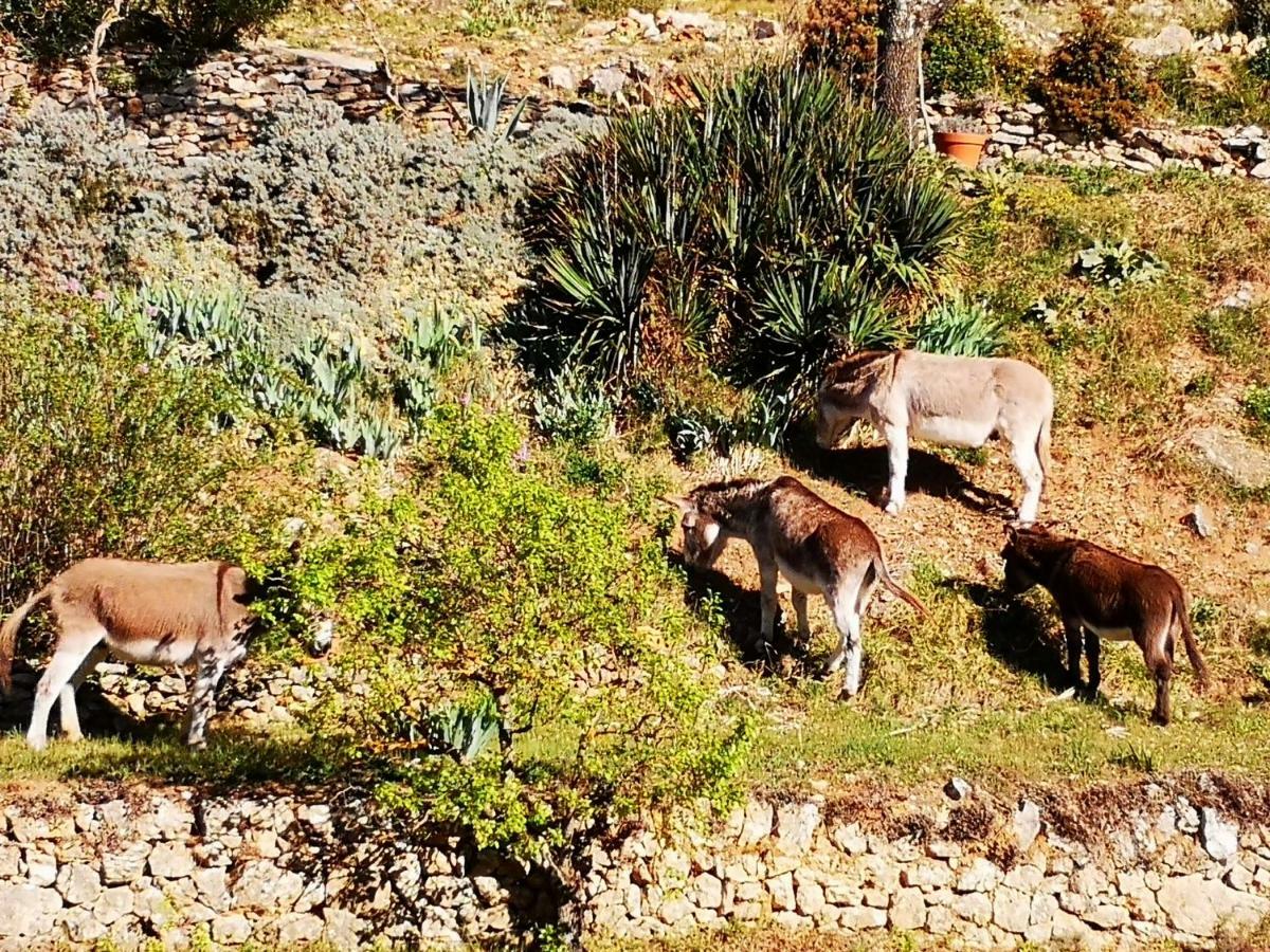 Les Git'Anes De Ponteves Villa Exterior foto